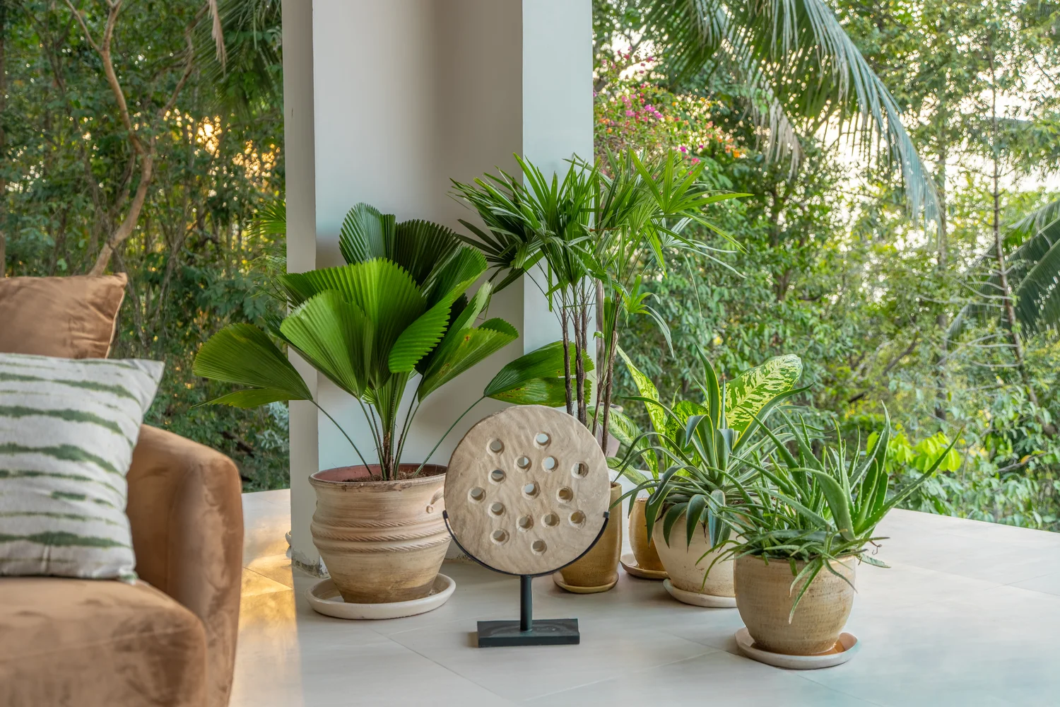 Dining table and kitchen